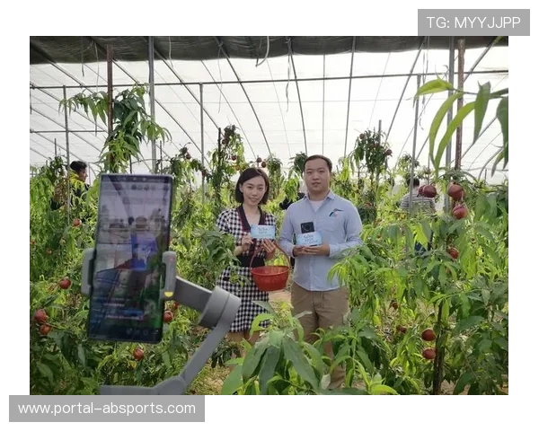 农村地区5G网络覆盖提升,拓展赛事直播下沉市场 农村地区5G网络覆盖提升,拓展赛事直播下沉市场